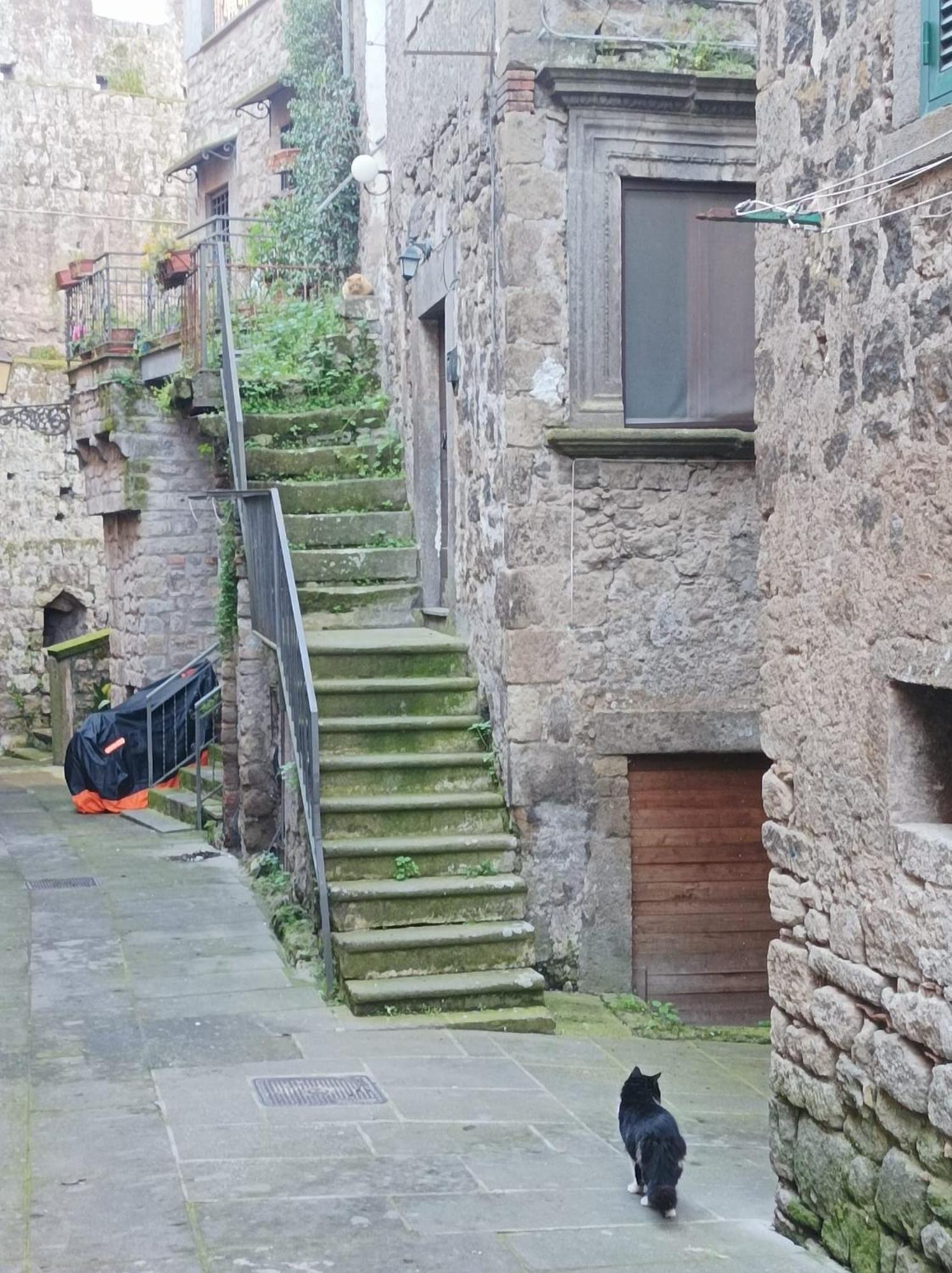 Sospesi Nel Borgo Vitorchiano Exterior foto
